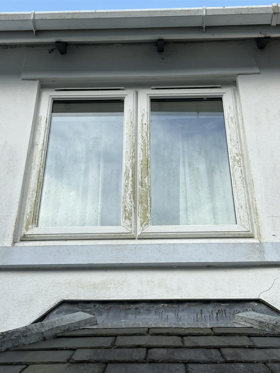 Window Cleaning - Before cleaning